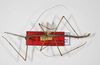 CollectionObject 1559583; 5adf3712-9882-4218-99e1-9c2178f55104: copyright ZHMB, Berlin. male, lateral view (syntype). (CollectionObject).;CollectionObject 1559584; cd52ee9d-327c-45ee-9b2f-9a0c9d7cc06e: copyright ZHMB, Berlin. male, lateral view (syntype). (CollectionObject).