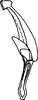 Aedeagus, ventral view: Aedeagus, ventral view. (Observation).