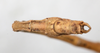 CollectionObject 1561483; 7927adf5-421a-4367-a893-b84f00a7e00d: copyright MHNG Geneva. male: end of abdomen, ventral view (holotype). (CollectionObject).