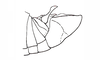 Baeacris talamancensis Rowell & Carbonell, 1977: Fig. 4. male abdomen tip, lateral view. (Otu).