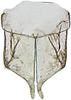Subgenital plate: !! display not done !! on Paraboloponina Ishihara, 1953: Parabolopona webbi, subgenital plates and valve, ventrally (INHS). (Observation).