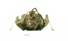 CollectionObject 1592109; 3cf4ca64-c867-4a2b-9075-cec587fb5ae6: male, frontal view (paratype). (CollectionObject).