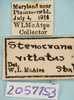Other: !! display not done !! on Stenocranus (Codex) vittatus (Stål, 1862): (Observation).