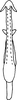 Aedeagus, ventral view on Cassianeura cassiae (Ahmed, 1970): ventral view. (Observation).