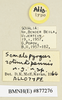 CollectionObject 1571069; 80d8de4d-cdef-479c-9f6b-f33c9f2d8d6c: labels (allotype). (CollectionObject).