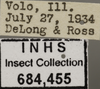 Other: Labels. Labels for the specimen used for the dorsal, lateral and face images. (Observation).