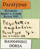 CollectionObject 1575479; 4b30d29b-eed1-4b5a-a90e-17556b6e89fa: labels (paratype). (CollectionObject).