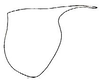 Ceraia pristina Grant, 1964: male pronotum, lateral outline. (Otu).