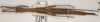 CollectionObject 1560287; 39f9c2f8-46d5-47f7-a05c-5db2c414b514: copyright OUMNH. female, dorsal view (syntype). (CollectionObject).;CollectionObject 1560288; 4dc70e09-436b-450f-b855-4b1d51a8ae5d: copyright OUMNH. female, dorsal view (syntype). (CollectionObject).