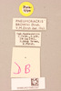 CollectionObject 2045668; 68ccc6bb-94ab-4c8a-8f64-088d7846dca6, NHMUK015982297: labels (paratype). (CollectionObject).