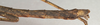 CollectionObject 1560747; NMW 905, 0d92d404-427f-4b51-b715-de9b941e512d: copyright NMW, Vienna. male: end of abdomen, lateral view of synonym Paramenexenus molestus (lectotype). (CollectionObject).