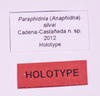 CollectionObject 1544719; 02a7617d-e7e7-412f-98aa-ab972ead8247: labels (holotype). (CollectionObject).