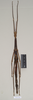 CollectionObject 1563875; 2809de03-7501-4afe-bbb4-3281c71fb909: copyright Natural History Museum, London. female (holotype). (CollectionObject).