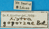 CollectionObject 1567566; 1c0a00a7-4076-4246-a1d6-217c015b7a8c: labels. (CollectionObject).