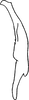 Stylus: !! display not done !! on Zygina (Zygina) yamashiroensis Matsumura, 1916: Stylus. (Observation).