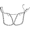 Abdomen, sternal apodemes, ventral view: !! display not done !! on Empoasca (Empoasca) tetronis Ross, 1959: Sternal apodemes. (Observation).