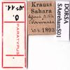 CollectionObject 1530825; 6e715dd5-a6ac-4f7a-91b4-fa714d9bddda: labels (syntype). (CollectionObject).