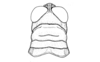 Urubamba aptera Bruner, 1913: Fig. 10. male head and pronotum, dorsal view. (Otu).
