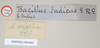 CollectionObject 1557986; NHMUK(SF IMPORT DUPLICATE) 844905, b30ef267-adb8-4d03-9044-100e0842319b: copyright Natural History Museum, London. female, data labels (holotype). (CollectionObject).