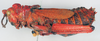 CollectionObject 1572740; 9c3ba2eb-96e6-4c65-86a9-1eb2c487dbda: male, lateral view (syntype of Petasia cruentata). (CollectionObject).