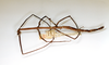 CollectionObject 1561718; a63efca4-8cbc-4989-a835-84bfe7bca557: copyright ETHZ. female of synonym Cuniculina electa (paralectotype). (CollectionObject).