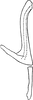 Aedeagus, lateral view on Araldus propinquus (Fieber, 1869): Aedeagus, lateral view. (Observation).