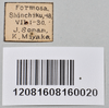 CollectionObject 1559851; a19eb260-1d37-40ef-b547-e1b1d39f104b: copyright NTUC. male juv., data labels (syntype). (CollectionObject).;CollectionObject 1559852; 4f342293-8e32-43c8-aabd-67b5d43b4610: copyright NTUC. male juv., data labels (syntype). (CollectionObject).