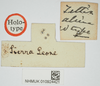 CollectionObject 1476888; 0ff19259-eb0b-48c5-b5c1-56af261204bb, NHMUK10924421: female, labels (holotype). (CollectionObject).