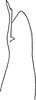 Pygofer, dorsal view: Pygofer (paratype), dorsal view. (Observation).