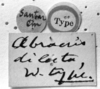 CollectionObject 1519651; 0e1d67a1-e4ac-46c2-837d-dfda8a0c7b2e: Image, Carbonell, C.S. at the British Museum, 1970. labels (holotype). (CollectionObject).