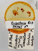 CollectionObject 1863349; 09aac49e-260f-4749-9ad0-c359bf7b12a4: (CollectionObject).