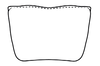 Sternite VIII (male) on Coarctana asymmetrica Domahovski & Cavichioli, 2023: Male holotype [DZUP]: sternite VIII, ventral view. (Observation).