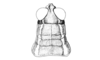 Propedies microsanguineus Cigliano & Lange, 1998: Fig. 3B. Female head and pronotum (dorsal view). (Otu).
