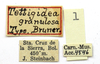 CollectionObject 1476872; 34062cbb-9187-44f3-860b-06e2e8b56d89: labels (holotype). (CollectionObject).