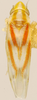 Habitus, dorsal view on Erythridula occidua (Beamer & Griffith, 1935): Habitus (holotype, KSEM collection). (Observation).