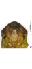 Head: face. (Observation).