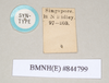 CollectionObject 1560093; NHMUK(SF IMPORT DUPLICATE) 844799, 51fca1e1-c43b-4cde-a72a-bf51c874e069: copyright Natural History Museum, London. female, data labels of Necroscia westwoodi (holotype). (CollectionObject).