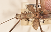 CollectionObject 1599504; 3967ffee-1fad-4cf2-98cc-df980b4e0213: copyright OUMNH. male: head & thorax, dorsal view of Xeroderus kirbii (paralectotype). (CollectionObject).