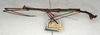 CollectionObject 1559504; NMW 497, 35b586f9-54e0-4497-9246-43a4fead3d91: copyright NMW, Vienna. male of synonym Lonchodes reductus, lateral view (holotype). (CollectionObject).