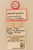 CollectionObject 1517864; eee3bbe0-ed08-4ae2-baae-5e237bdb561e, NHMUK015982383: labels (holotype). (CollectionObject).