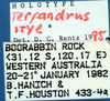 CollectionObject 1521935; 6c50c7e0-7723-4488-89b1-375e1288870e: labels (holotype). (CollectionObject).