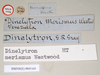 CollectionObject 1560887; NHMUK(SF IMPORT DUPLICATE) 845169, 41802941-4b62-4127-8252-8f41092590da: (CollectionObject).