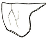 Eppioides malaya Hebard, 1922: Pl. XVII, Fig. 16 (after type). lateral outline of female pronotum (length 6.8 mm) (previously Synonym Eppioides bicolor). (Otu).