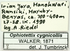 CollectionObject 1585482; 3c475353-cecd-423e-8024-f4baf62ab89f: labels. (CollectionObject).