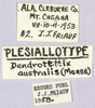 CollectionObject 1499598; e0a6b0d3-7423-444a-90af-f405db0d0b59: labels. (CollectionObject).