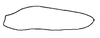 Subgenital plate, ventral view on Carapona denella (DeLong, 1978) now Carapona eximia (DeLong & Freytag, 1975): Male holotype [C. denella]: subgenital plate, ventral view. (Observation).