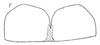 Ovipositor: !! display not done !! on Chlorotettix (Chlorotettix) giganteus Linnavuori, 1959: Sternite VII. (Observation).