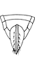 Ovipositor: !! display not done !! on Dikrella (Dikrella) cockerellii (Gillette, 1895): Ovipositor. (Observation).