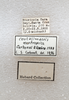 CollectionObject 1575506; da8dfd67-c00a-460b-a2b7-75d955d4e38d: labels. (CollectionObject).