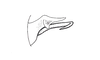 Atrachelacris unicolor Giglio-Tos, 1894: Fig. 3C. distal portion of phallic complex, lateral view. (Otu).